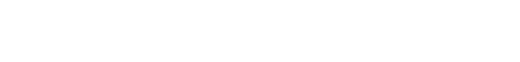 P-SS 情報セキュリティ評価サービス